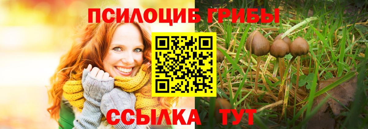 Кыштым  Галлюциногенные грибы Psilocybine cubensis  Вход с VPN 