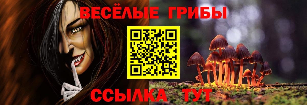 Псилоцибиновые грибы прущие грибы Кыштым